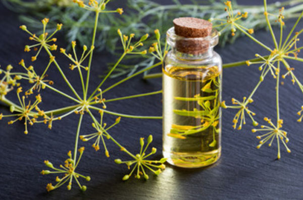 Бутылочка с укропной водичкой. На заднем плане укроп