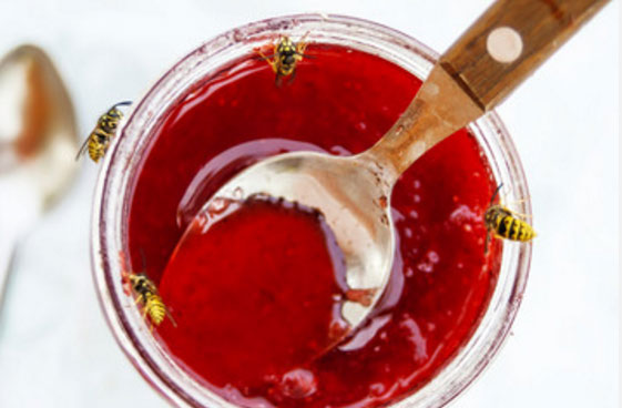 Осы сидят на банке с вареньем