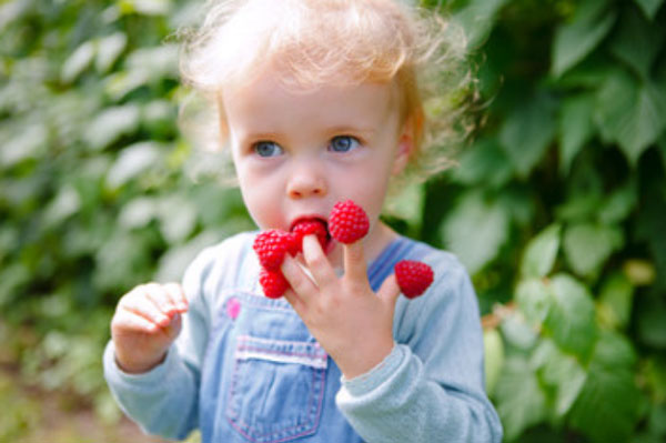 Ребенок ест малинки, которые надеты на его пальчиках