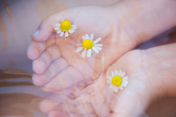 Мама проводит руками в воде с ромашками