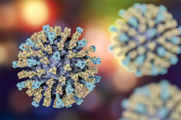 Трехмерное изображение вируса кори