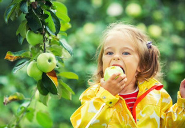 Девочка сорвала с дерева яблоко и кусает его