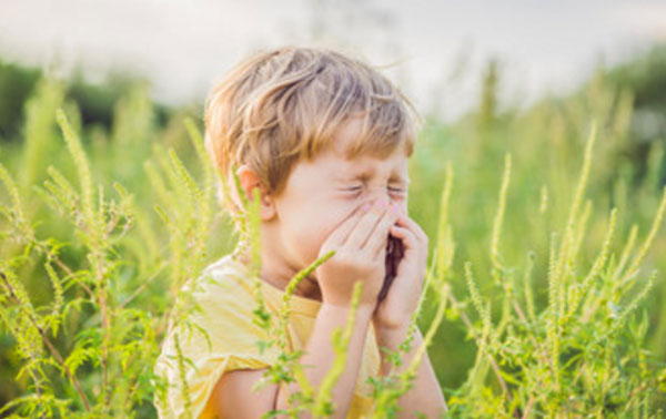 Девочка стоит среди полыни, прикрывает нос