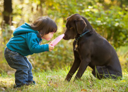 Ребенок бьет собаку по носу
