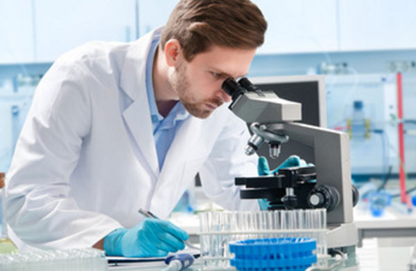 Лаборант смотрит в микроскоп, подсчитывает лейкоцитарную формулу