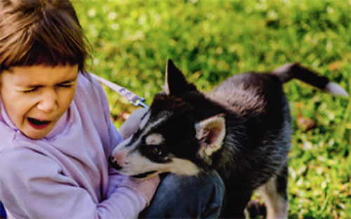 Собака кусает девочку за руку