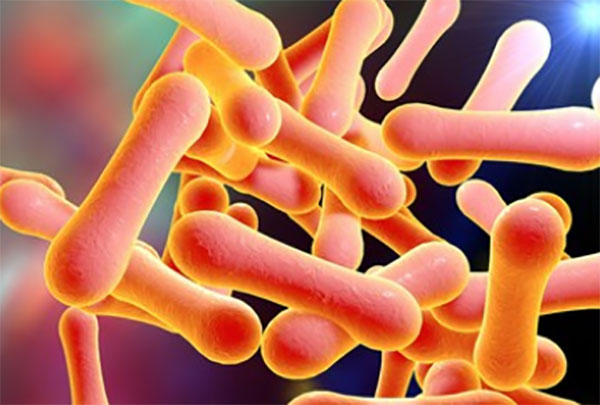 Микроскопическое увеличение коринебактерий