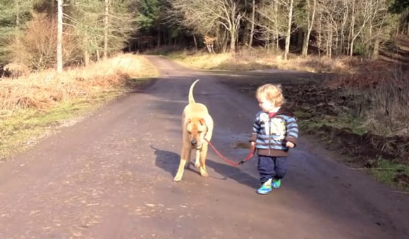 Прогулка малыша