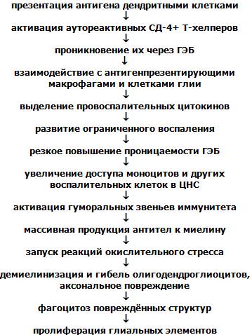 Патогенез рассеянного склероза