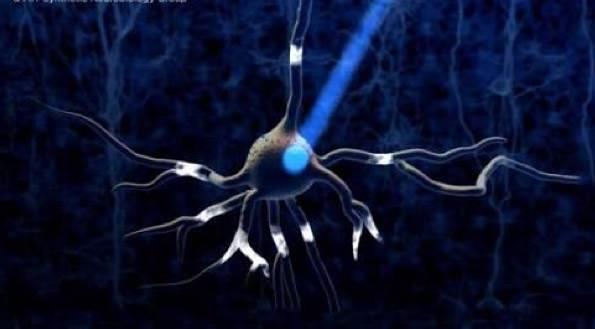 Оптогенетика