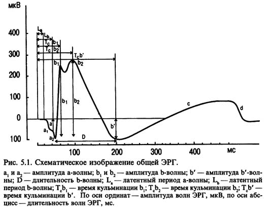 генерация ЭРГ