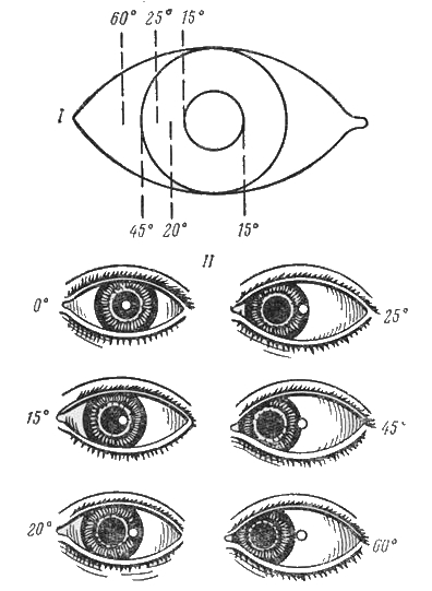 Угол отклонения по Гиршбергу