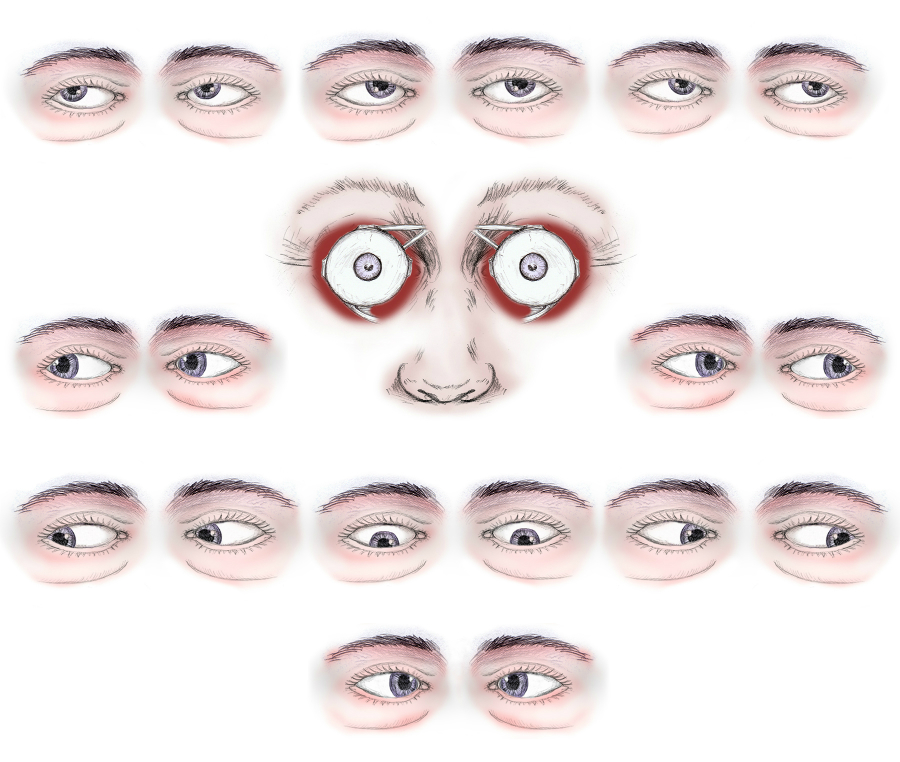 Направления взора