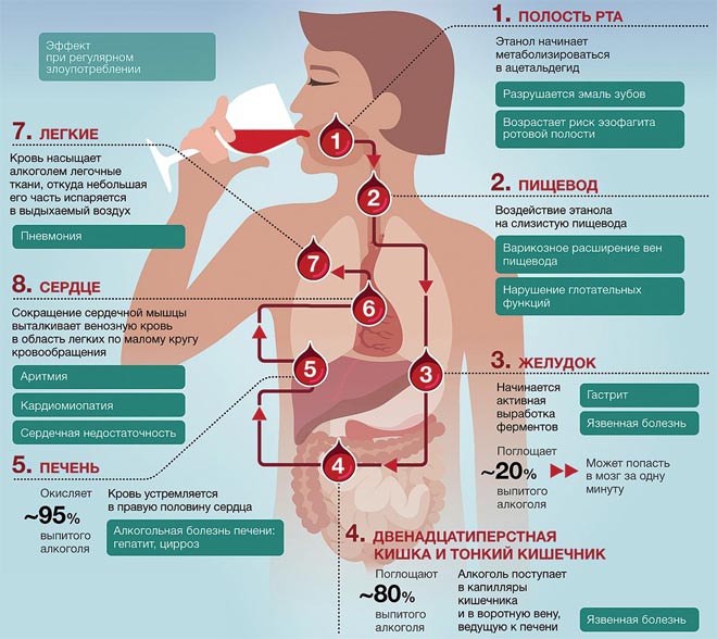 Вред алкоголя Вред алкоголя