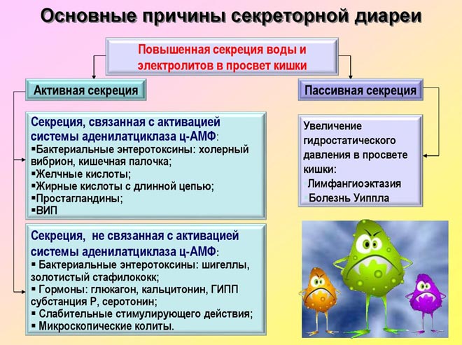 Причины секреторного поноса Секреторный понос