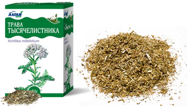 Тысячелистник Тысячелистник